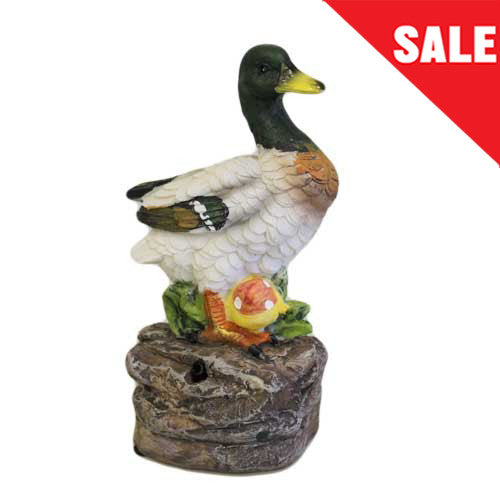 Quack Alert - Small Drake