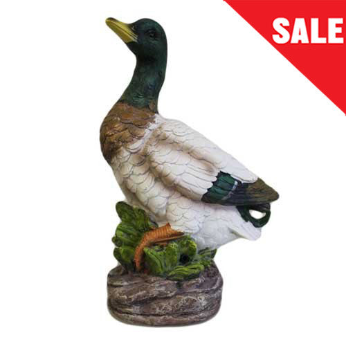 Quack Alert - Large Drake