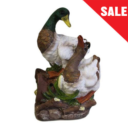 Quack Alert - Large Duck & Drake