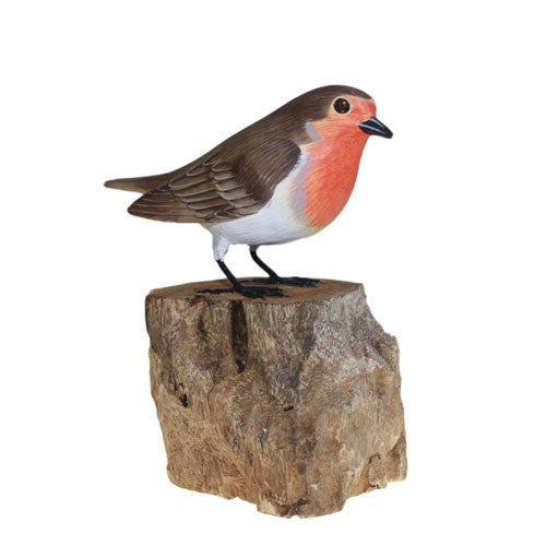 Robin