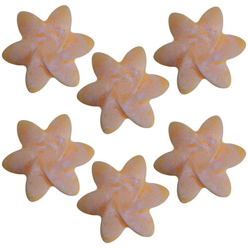 Natural Wax Melts - Mango Fruits