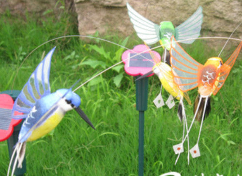 Solar Humming Bird (colours may vary)