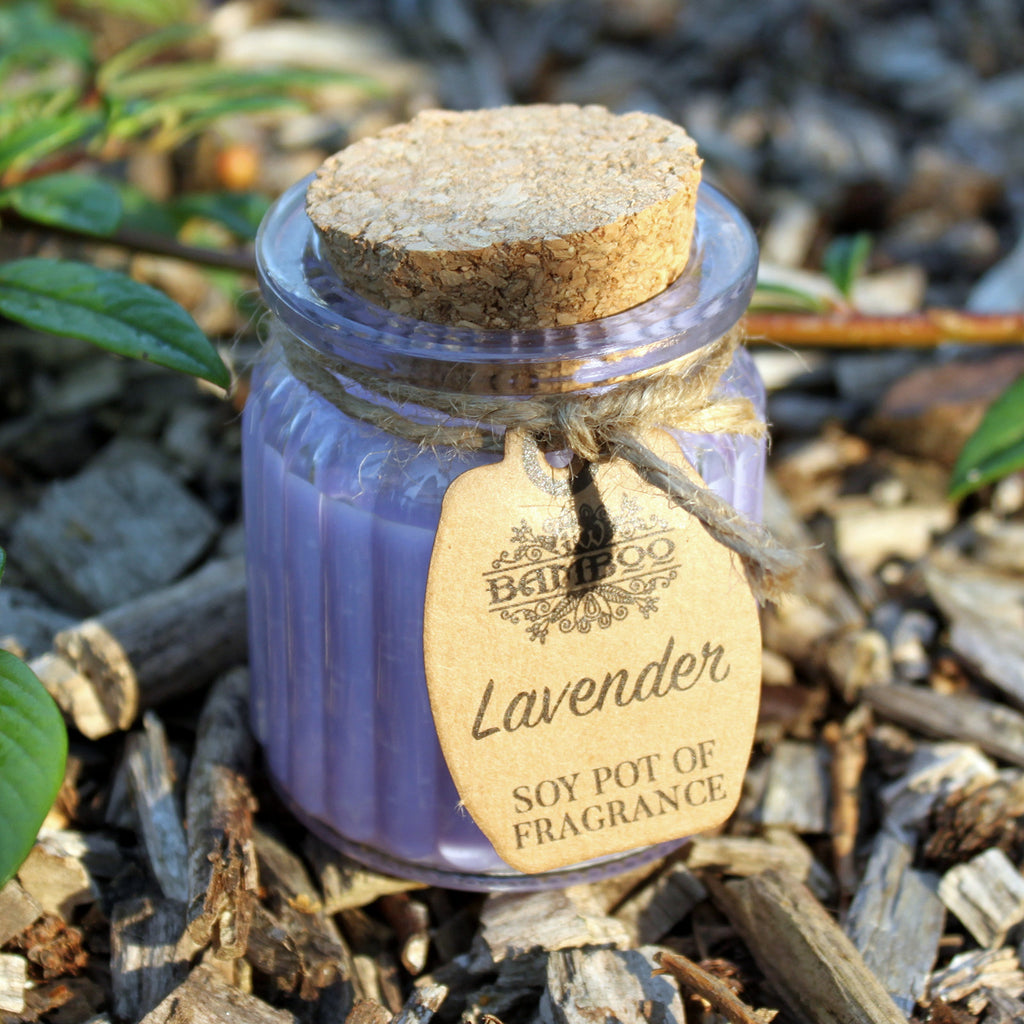 2x Lavender Soy Pot of Fragrance Candles