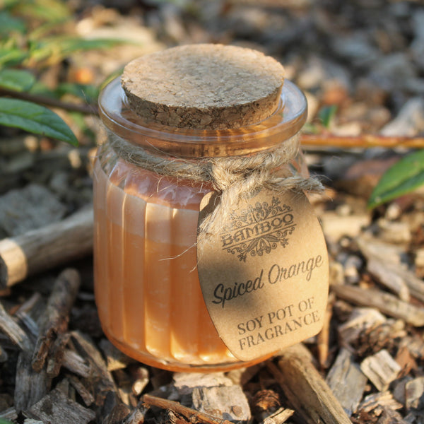 2x Spiced Orange Soy Pot of Fragrance Candles